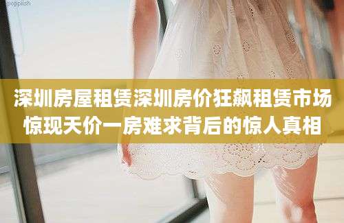 深圳房屋租赁深圳房价狂飙租赁市场惊现天价一房难求背后的惊人真相