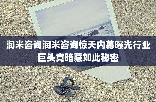 润米咨询润米咨询惊天内幕曝光行业巨头竟暗藏如此秘密