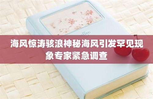 海风惊涛骇浪神秘海风引发罕见现象专家紧急调查