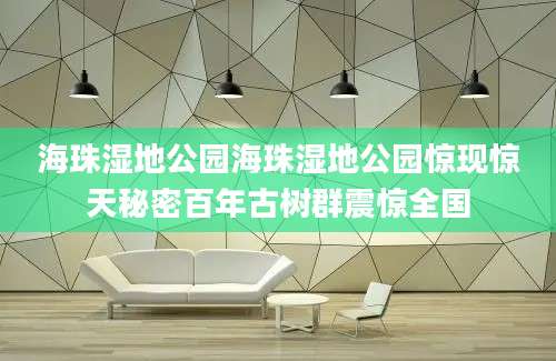 海珠湿地公园海珠湿地公园惊现惊天秘密百年古树群震惊全国
