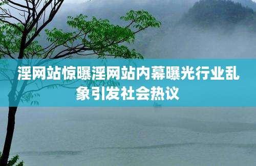 淫网站惊曝淫网站内幕曝光行业乱象引发社会热议