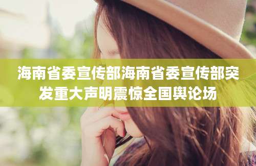 海南省委宣传部海南省委宣传部突发重大声明震惊全国舆论场