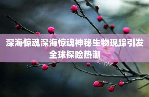 深海惊魂深海惊魂神秘生物现踪引发全球探险热潮