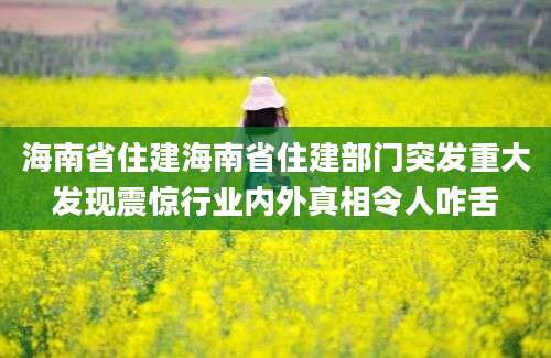 海南省住建海南省住建部门突发重大发现震惊行业内外真相令人咋舌