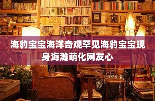 海豹宝宝海洋奇观罕见海豹宝宝现身海滩萌化网友心