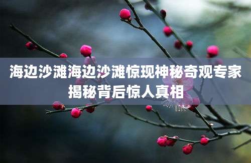 海边沙滩海边沙滩惊现神秘奇观专家揭秘背后惊人真相