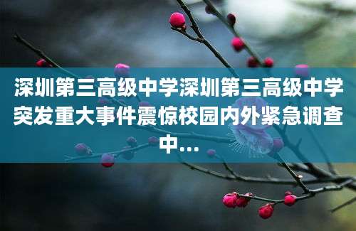 深圳第三高级中学深圳第三高级中学突发重大事件震惊校园内外紧急调查中...