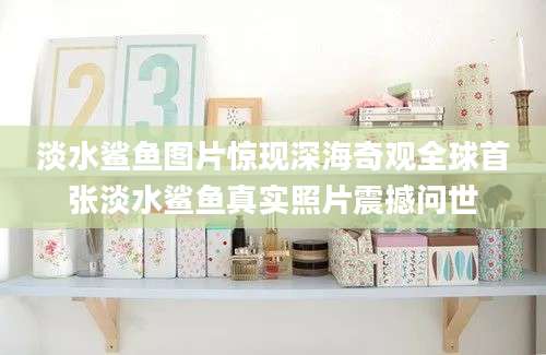 淡水鲨鱼图片惊现深海奇观全球首张淡水鲨鱼真实照片震撼问世