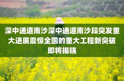 深中通道南沙深中通道南沙段突发重大进展震惊全国的重大工程新突破即将揭晓