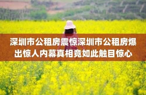 深圳市公租房震惊深圳市公租房爆出惊人内幕真相竟如此触目惊心