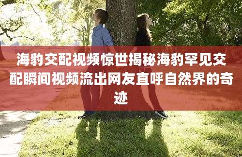 海豹交配视频惊世揭秘海豹罕见交配瞬间视频流出网友直呼自然界的奇迹