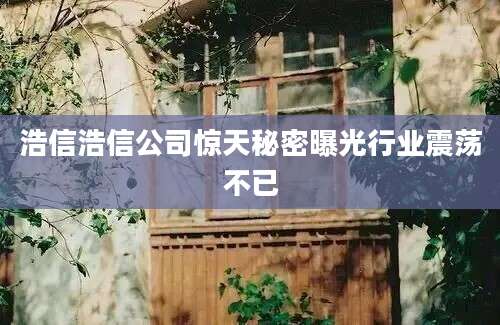 浩信浩信公司惊天秘密曝光行业震荡不已