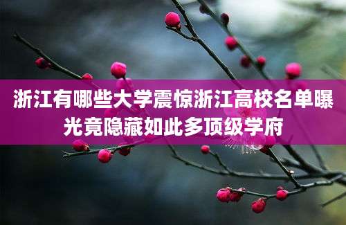 浙江有哪些大学震惊浙江高校名单曝光竟隐藏如此多顶级学府