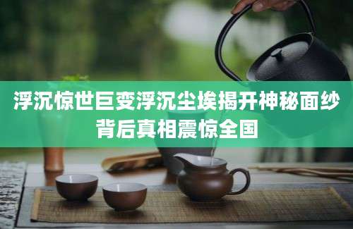 浮沉惊世巨变浮沉尘埃揭开神秘面纱背后真相震惊全国