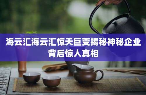海云汇海云汇惊天巨变揭秘神秘企业背后惊人真相