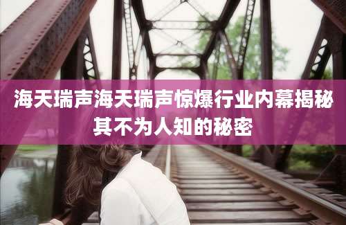 海天瑞声海天瑞声惊爆行业内幕揭秘其不为人知的秘密