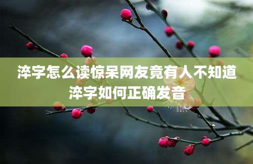 淬字怎么读惊呆网友竟有人不知道淬字如何正确发音