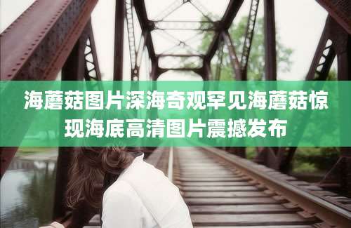 海蘑菇图片深海奇观罕见海蘑菇惊现海底高清图片震撼发布