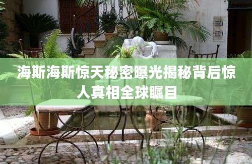海斯海斯惊天秘密曝光揭秘背后惊人真相全球瞩目