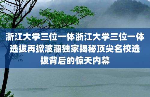 浙江大学三位一体浙江大学三位一体选拔再掀波澜独家揭秘顶尖名校选拔背后的惊天内幕