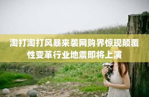 淘打淘打风暴来袭网购界惊现颠覆性变革行业地震即将上演