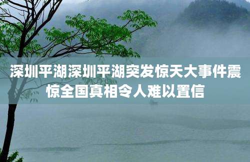 深圳平湖深圳平湖突发惊天大事件震惊全国真相令人难以置信