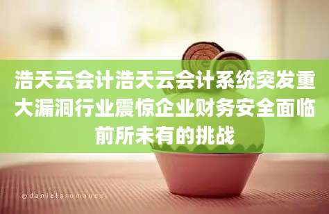 浩天云会计浩天云会计系统突发重大漏洞行业震惊企业财务安全面临前所未有的挑战