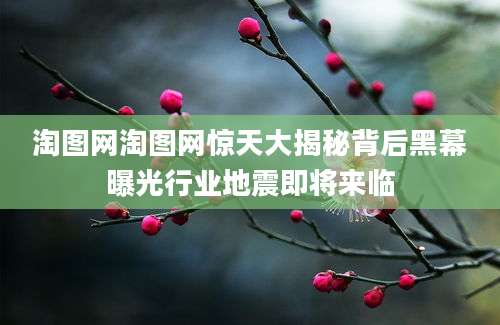 淘图网淘图网惊天大揭秘背后黑幕曝光行业地震即将来临
