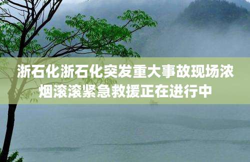 浙石化浙石化突发重大事故现场浓烟滚滚紧急救援正在进行中