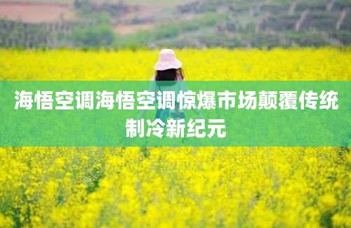 海悟空调海悟空调惊爆市场颠覆传统制冷新纪元