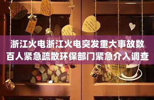 浙江火电浙江火电突发重大事故数百人紧急疏散环保部门紧急介入调查