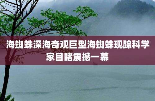 海蜘蛛深海奇观巨型海蜘蛛现踪科学家目睹震撼一幕