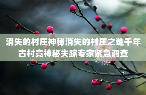 消失的村庄神秘消失的村庄之谜千年古村竟神秘失踪专家紧急调查