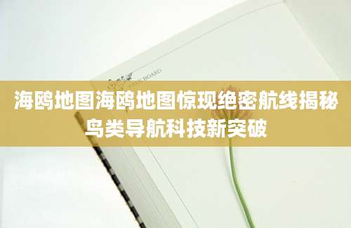 海鸥地图海鸥地图惊现绝密航线揭秘鸟类导航科技新突破