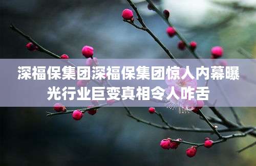 深福保集团深福保集团惊人内幕曝光行业巨变真相令人咋舌