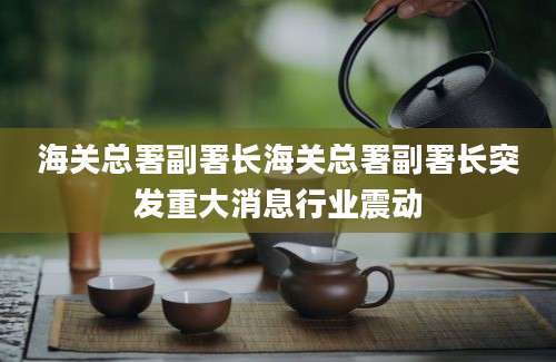 海关总署副署长海关总署副署长突发重大消息行业震动