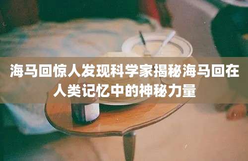 海马回惊人发现科学家揭秘海马回在人类记忆中的神秘力量