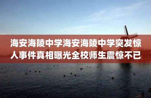 海安海陵中学海安海陵中学突发惊人事件真相曝光全校师生震惊不已