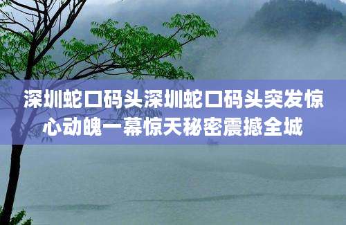 深圳蛇口码头深圳蛇口码头突发惊心动魄一幕惊天秘密震撼全城