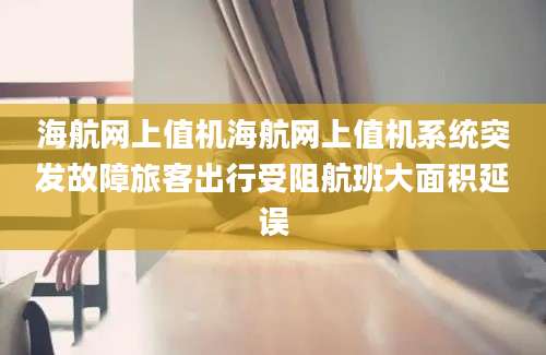 海航网上值机海航网上值机系统突发故障旅客出行受阻航班大面积延误