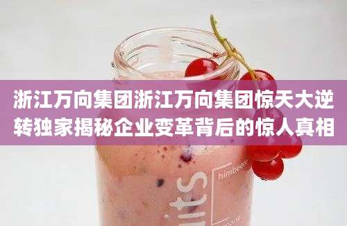 浙江万向集团浙江万向集团惊天大逆转独家揭秘企业变革背后的惊人真相