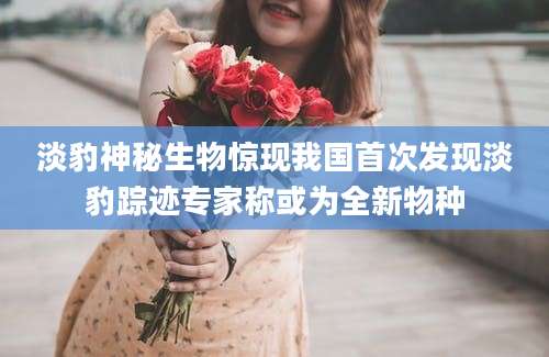 淡豹神秘生物惊现我国首次发现淡豹踪迹专家称或为全新物种