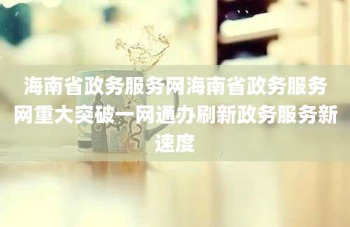 海南省政务服务网海南省政务服务网重大突破一网通办刷新政务服务新速度