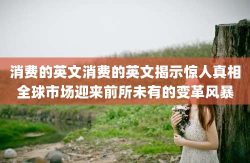 消费的英文消费的英文揭示惊人真相全球市场迎来前所未有的变革风暴