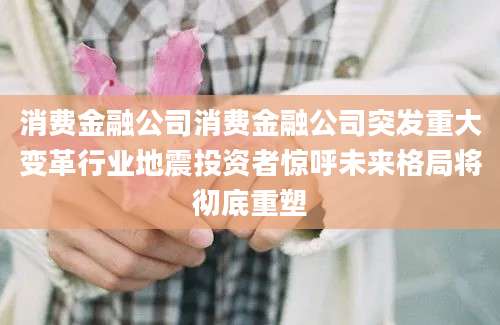 消费金融公司消费金融公司突发重大变革行业地震投资者惊呼未来格局将彻底重塑