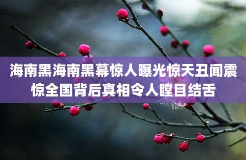 海南黑海南黑幕惊人曝光惊天丑闻震惊全国背后真相令人瞠目结舌