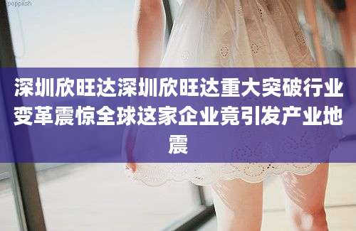 深圳欣旺达深圳欣旺达重大突破行业变革震惊全球这家企业竟引发产业地震