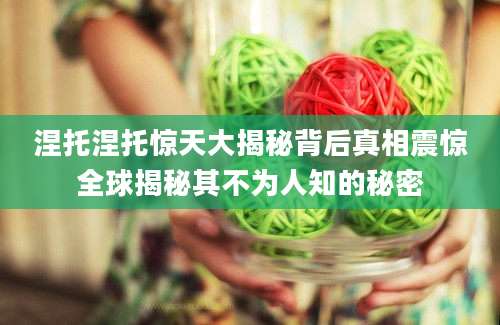 涅托涅托惊天大揭秘背后真相震惊全球揭秘其不为人知的秘密