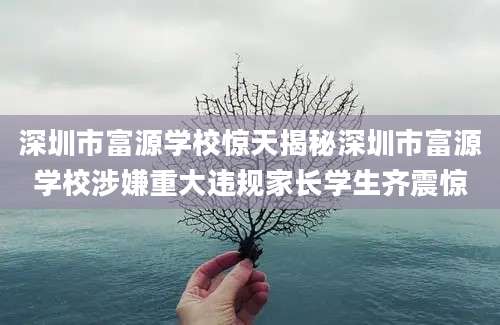 深圳市富源学校惊天揭秘深圳市富源学校涉嫌重大违规家长学生齐震惊
