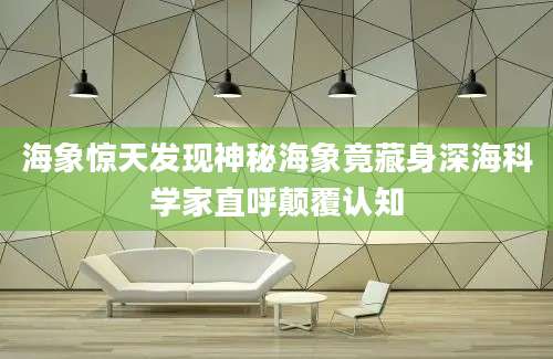 海象惊天发现神秘海象竟藏身深海科学家直呼颠覆认知